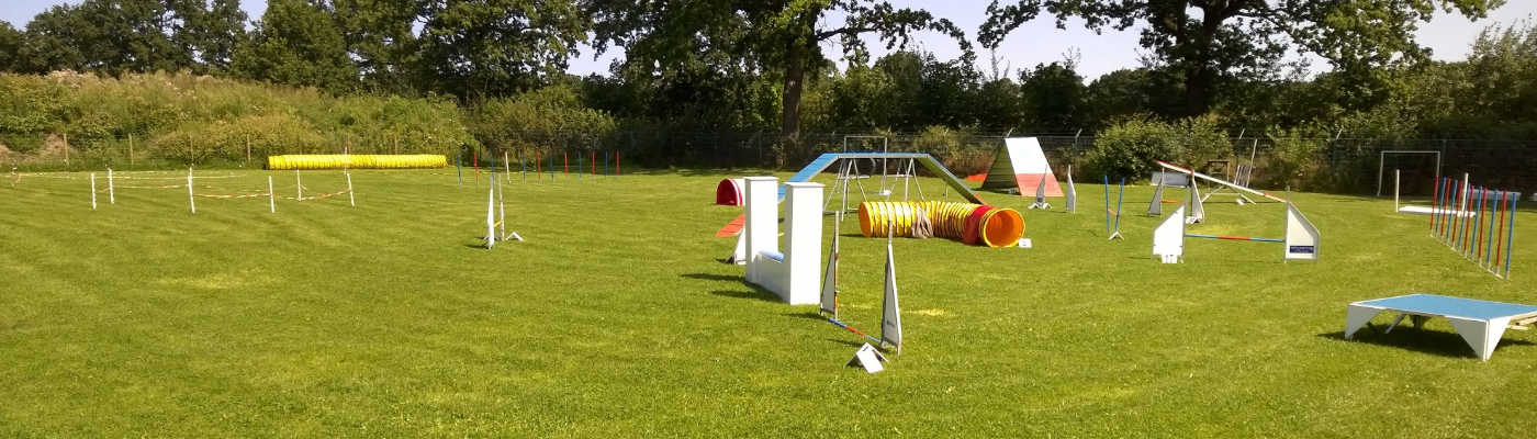 hundeplatz-hauptbild
