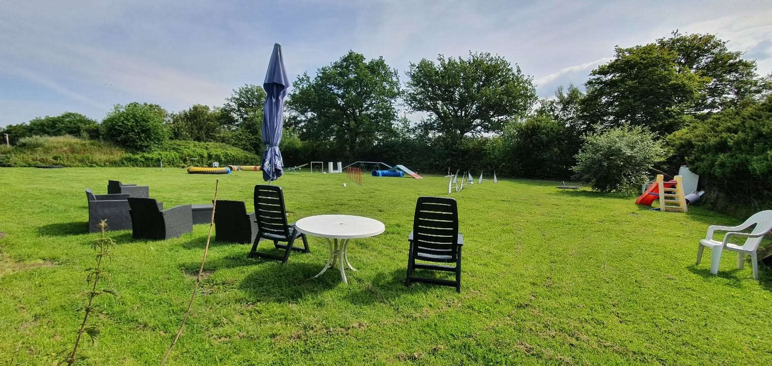 Hundeschule Rudelwelt