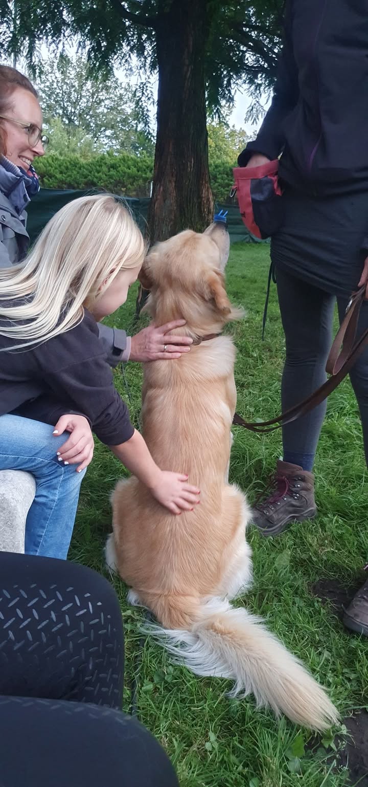 Hundeschule Rudelwelt