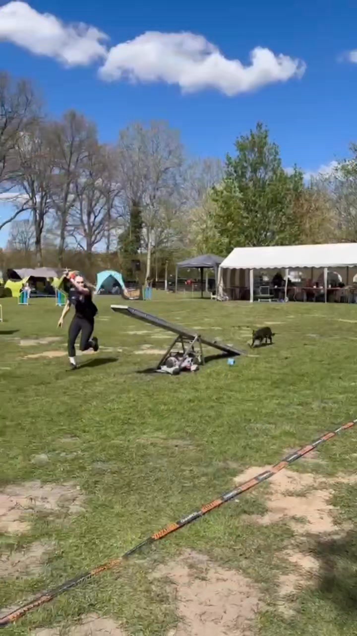 Hundeschule Rudelwelt