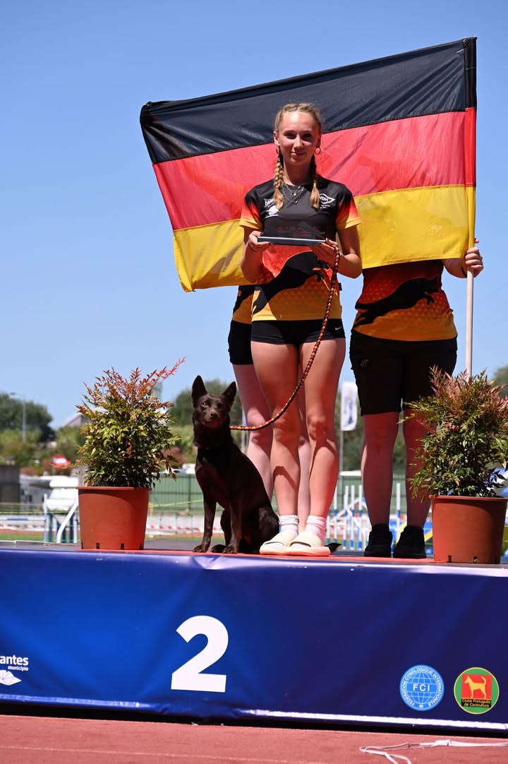 Hundeschule Rudelwelt