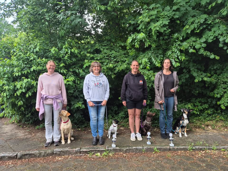 Hundeschule Rudelwelt